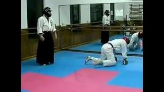 Aikido vs Taekwondo (Real fight no demonstration!)