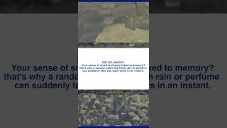 Download Lagu Did You Know Smell \u0026 Memory MP3 Download Lagu Did You Know Smell \u0026 Memory MP3