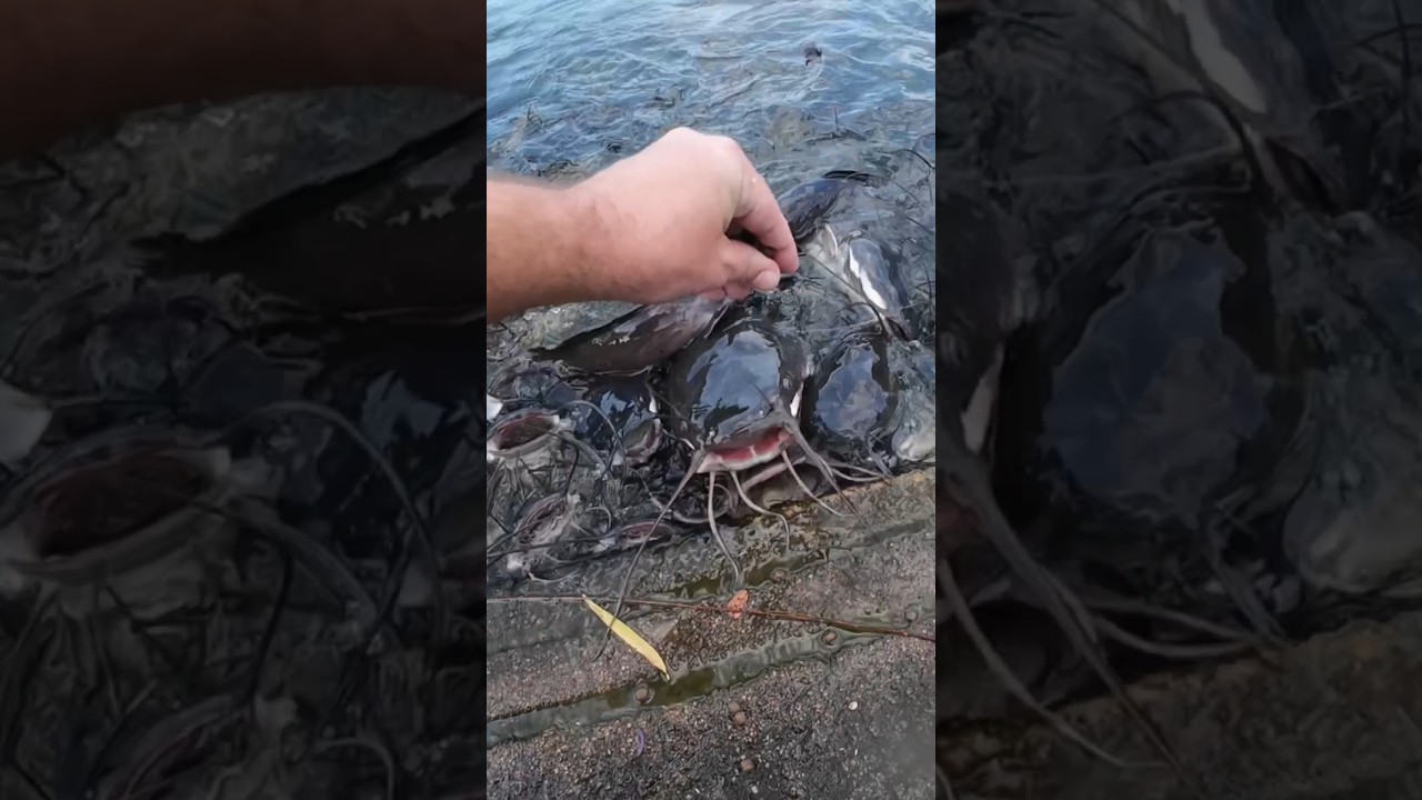 Рыбалка руками 