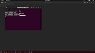 51 what is the absolute path in the bash shell?