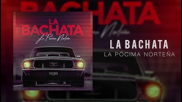 La Pócima Norteña - La Bachata