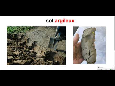 Vidéo: Quels sont les différents types de sols trouvés en Inde et où se trouvent-ils ?