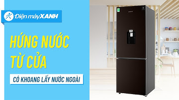 Tủ lạnh Samsung 307 lít: ngăn cấp đông mềm, lấy nước ngoài tiện lợi (RB30N4170BY/SV) • Điện máy XANH