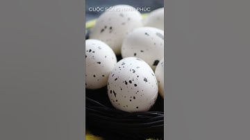 ĂN TRỨNG CÚT: NHỚ KỸ 10 LỢI ÍCH QUÝ NÀY | Cuộc Sống Hạnh Phúc #shorts