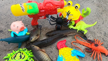 Ra đồng chơi nhặt được các con vật, con cua, con cá rô, con cá trê, khủng long, con bò. part-59