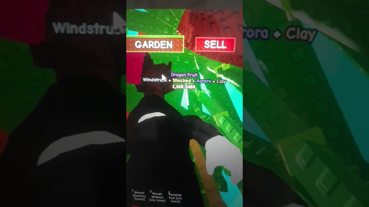 choc mutation on dragon fruit