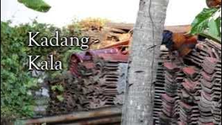 Kadang-Kala