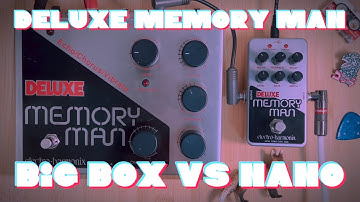 🤔EHX Big Box Deluxe Memory Man vs Nano Deluxe Memory Man