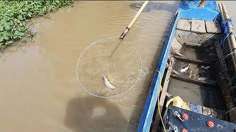 Test tổng hợp kích lạnh cơ 60b chuyên thả cáp bao cá lên đẹp