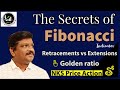 Fibonacci indicator  fibonacci retracement  extensions  golden ratio  indicator series