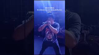 Alldeath Life At Road To Flower City Death Fest 13 Oktober 2024