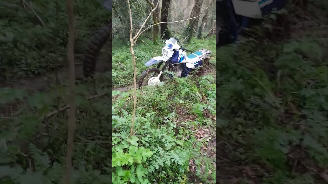 joder joder jodrr.....😂😂