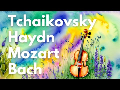 Classical Music Playlist 9: Mozart, Bach, Haydn, Tchaikovsky | #classicalmusic #mozart #haydn