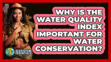 Why Is The Water Quality Index Important For Water Conservation? - Ecosystem Essentials