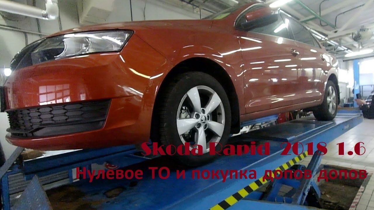 Лампочки шкода рапид 2018
