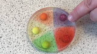 The Diffusion of Skittles