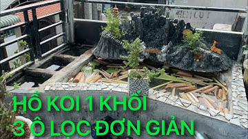 HỒ 1 KHÔI 3 Ô LỌC ĐƠN GIẢN SÂN THƯỢNG || GIAO HÀNG || CÁ KOI VLOG TRẦN ĐỨC CƯỜNG