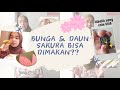 FAKTA TENTANG BUNGA SAKURA YANG JARANG ORANG TAU!