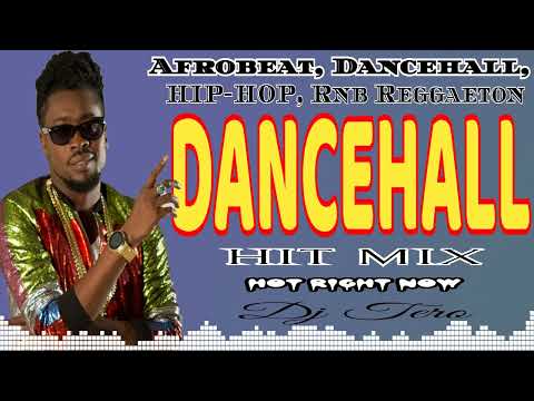OLD SCHOOL DANCEHALL RAGGA MIX BY DJ TERO | SEAN PAUL | BEENIE MAN | SHABBA RANKS | SERANI | RUPEE |