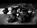 Black Roses - Blackmore’s Night Cover