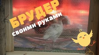 Брудер своими руками. Кормление цыплят и индюшат.(Брудер - 