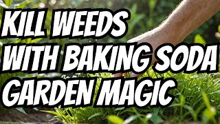 Destroy Weeds Naturally With Baking Soda