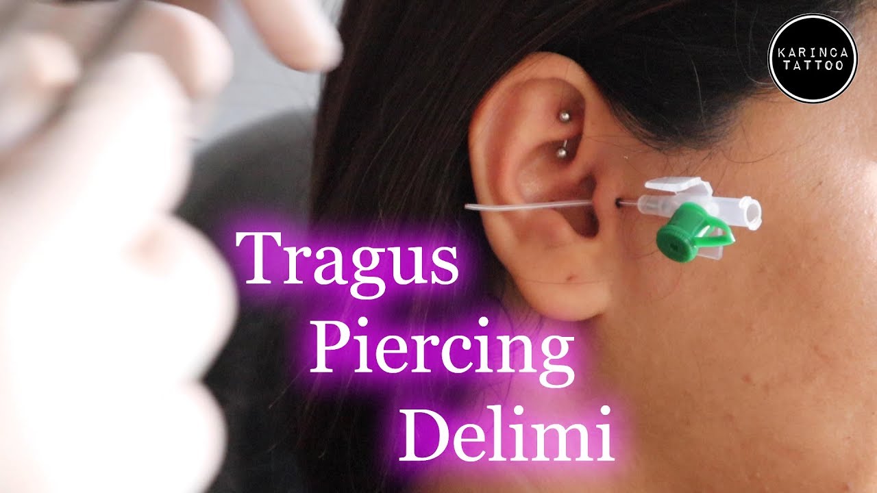 Tragus Piercing Delimi Karinca Tattoo Youtube