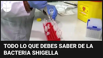 ¿Qué le hace la Shigella a una persona?