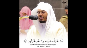 (إن الذين قالوا ربنا الله ثم استقاموا) ياسر الدوسري حالات واتس قرآن كريم | سورة الأحقاف