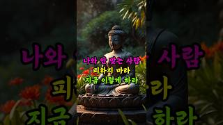 나와 안맞는 사람, 피하지 마라, 지금 이렇게 하라 #부처님말씀 #명언 #자기수행 #불교명상