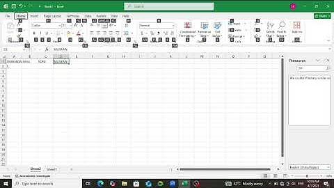 Learn Excel for Blind Part 5: Sheet Rename & Range Define