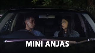 Mini Anjas