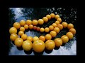 Советские украшения из янтаря. Soviet jewelry made of amber.