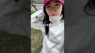 Vlog 跑得慢没关系 只要在路上 一切皆有可能