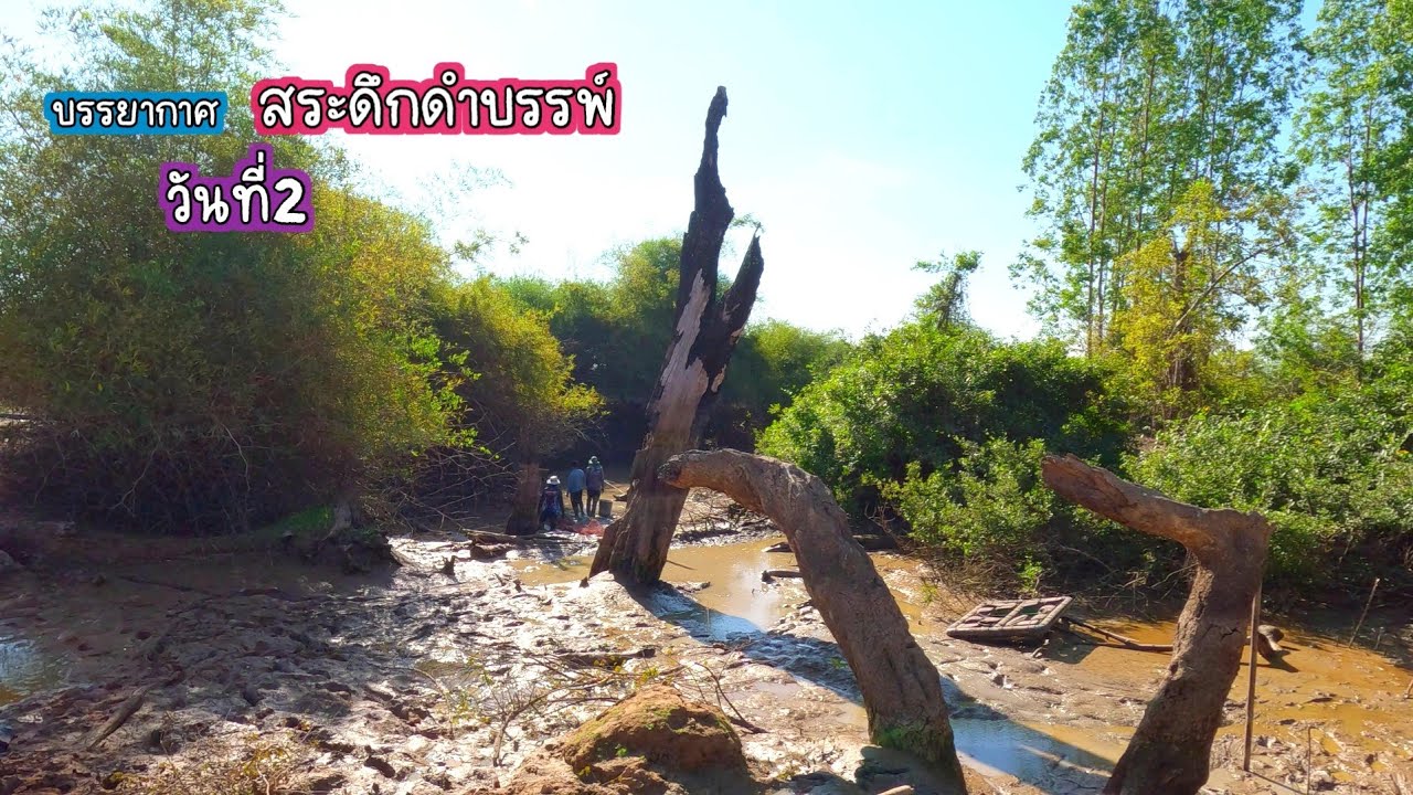 เจอกองทัพปลานับแสน สระดึกดำบรรพ์วันที่2 วันนี้งานเข้าแม่ครัว บรรยากาศเหมาสระ/บ้านนาพาสุข EP.454