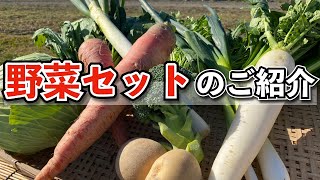 野菜セットのご紹介