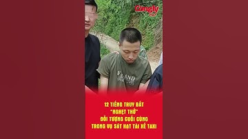 Vây bắt nghi phạm cuối cùng trong vụ 4 người Trung Quốc sát hại tài xế taxi ở Lạng Sơn | Báo Công lý