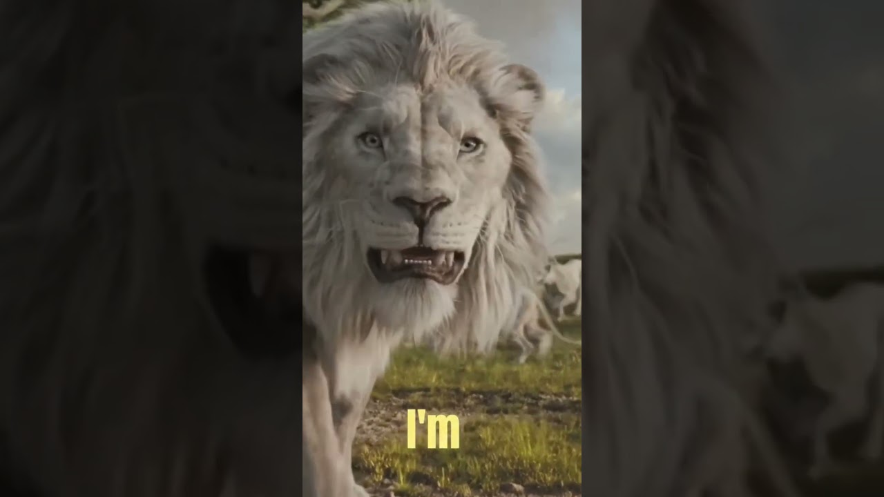 Bye Bye #lionking