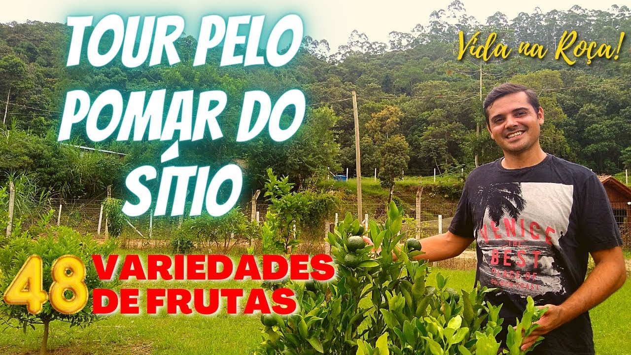 TOUR COMPLETO PELO POMAR DO SÍTIO. 48 VARIEDADES! VAI TER FARTURA DE FRUTAS AQUI NA ROÇA.