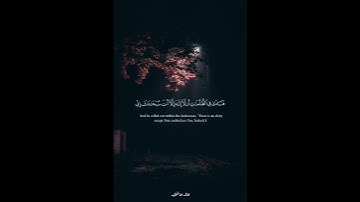 تلاوة من ﴿ سورة الأنبياء ﴾ للقارئ حمزة بوديب 🤍🎧