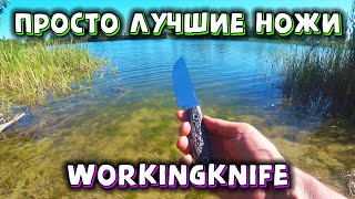 workingknife НОЖИ. НОЖ ДЛЯ ОХОТЫ И РЫБАЛКИ. КАКОЙ НОЖ КУПИТЬ!