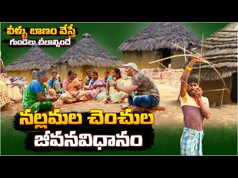 నల్లమల చెంచుల జీవనవిధానం: Nallamalla Forest Tribal People Lifestyle | Hidden Villages In Forest | BM