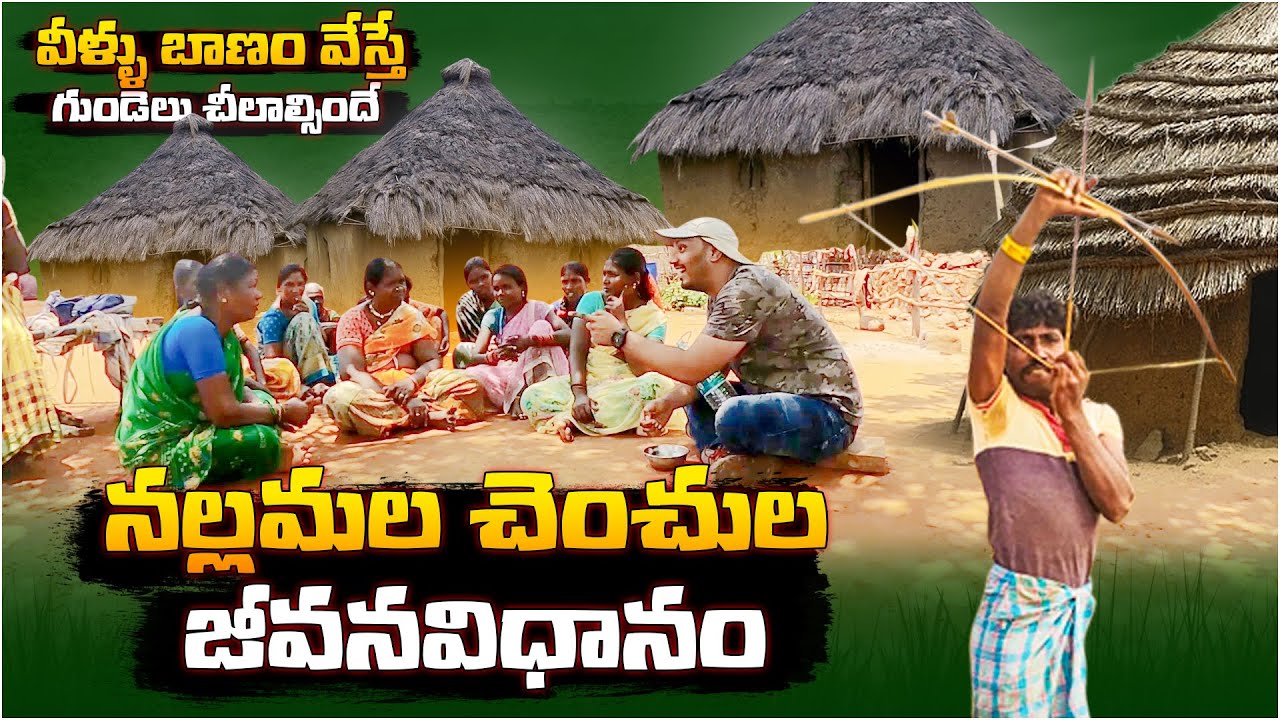 నల్లమల చెంచుల జీవనవిధానం: Nallamalla Forest Tribal People Lifestyle | Hidden Villages In Forest | BM