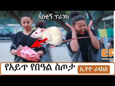 አስቂኝ-የበዓል-የአይጥ-ስጦታ-ፕራንክ-|-ethiopian-new-year-prank-|-ethio-relax-prank-|-ethiopian-comedy-|-drama