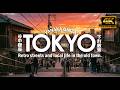 Yanaka Ginza Walking Tour 🇯🇵|Old Tokyo Street Life Near Ueno (non-verbal)