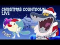 🔴 LIVE CHRISTMAS  COUNTDOWN🎄 OGGY AND THE COCKROACHES 🎁  ZIG AND SHARKO
