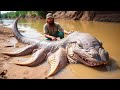Deadliest River Monsters Ever Found