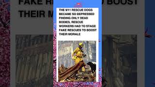 9/11 Rescue Dogs Became So Depressed, Workers Staged Fake Rescues to Lift Their Spirits