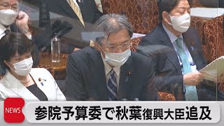 参院予算委で秋葉復興大臣追及（2022年11月30日）