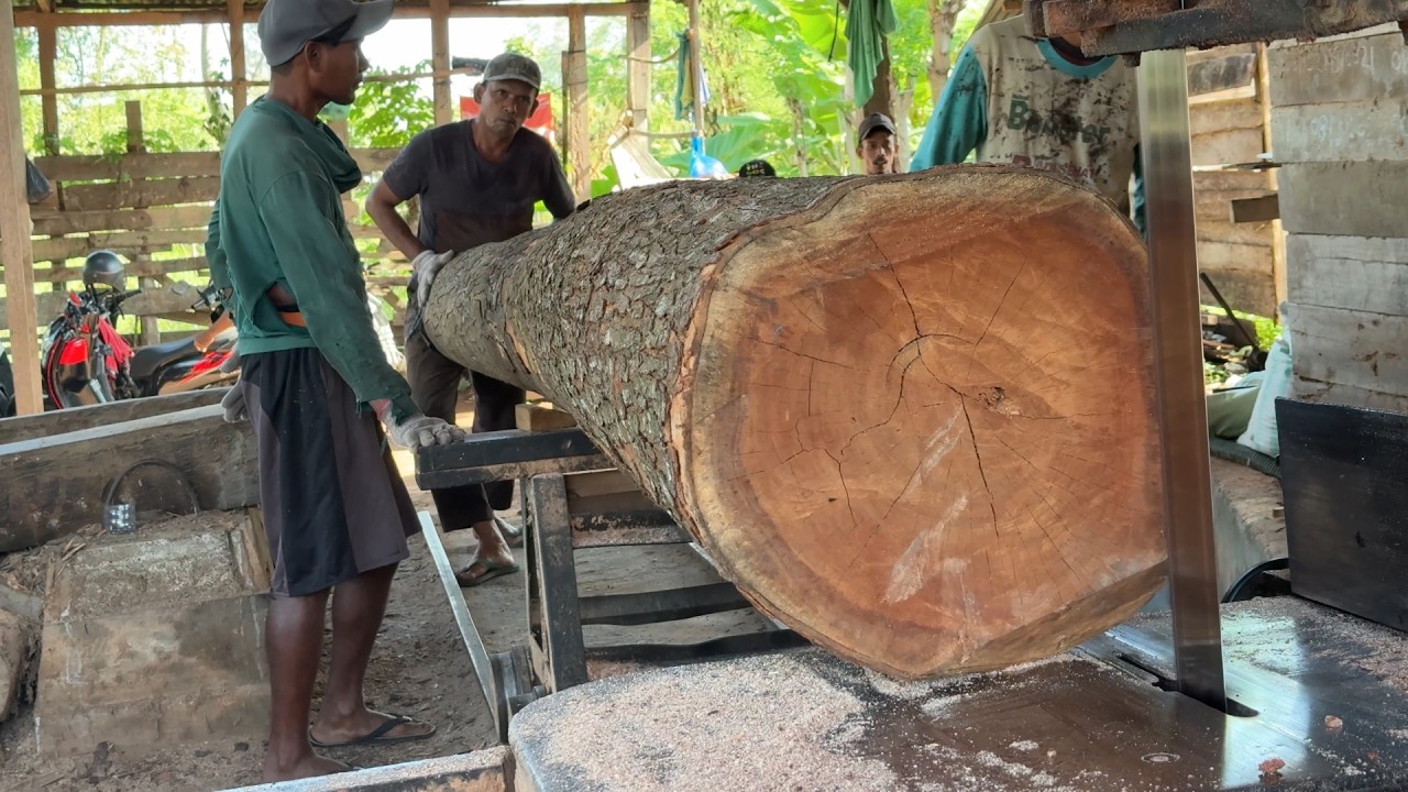 Steps to Cut 5x10 Wood with a Sawmill